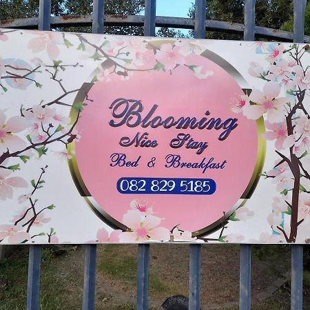 Blooming Nice Stay Harrismith Ngoại thất bức ảnh
