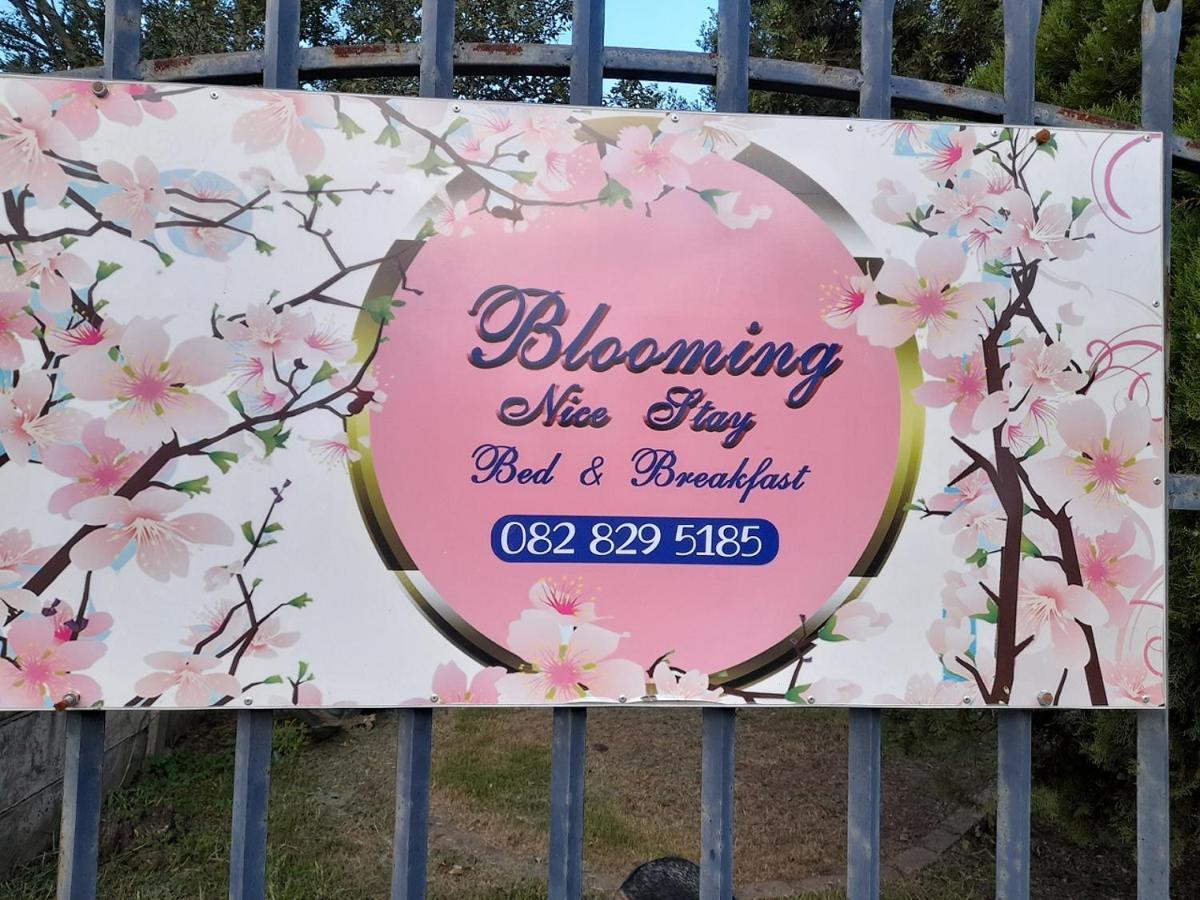 Blooming Nice Stay Harrismith Ngoại thất bức ảnh